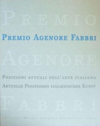 Catalogo Premio Agenore Fabbri - VAF - Stiftung 2003 eBook