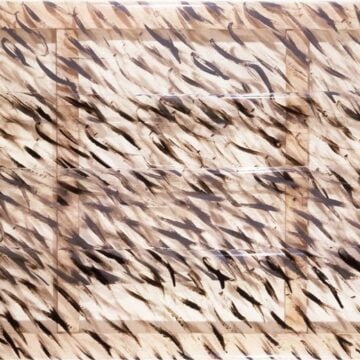 Accardi, Carla - Grigionero - {VAF 4 - field_5[1]} - vernice su sicofoil - Roverto, Mart