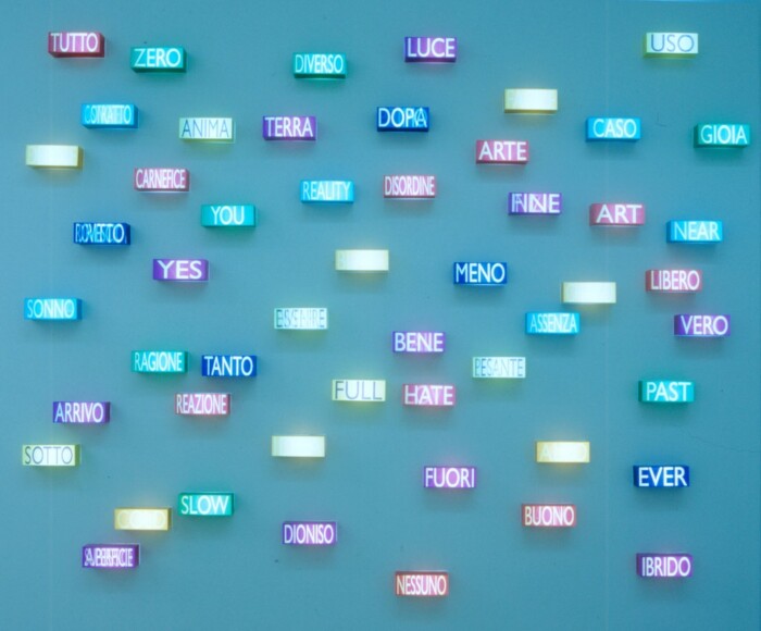 Dynys, Chiara , born to be confused, 2004, 52 luce fluorescente, lenticolare, plexiglas Installation , VAF 1133, Roverto, Mart