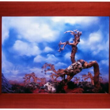 Ghibaudo, Dario , Diorami III: Panicula pardalis - museo di storia innaturale, 1999/2000 , tecnica mista, lightbox, VAF 1955, Roverto, Mart