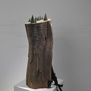 Kostner, Hubert , Tirolo, 2007, segmenti di tronchi d'albero, cinghia di zaino, componenti di modellistica, VAF 2044, Roverto, Mart