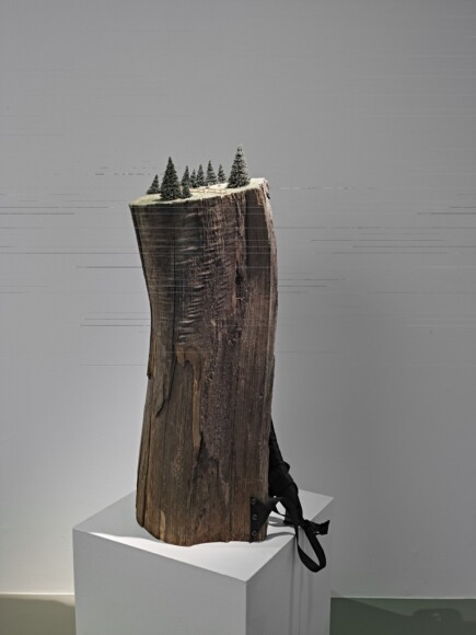 Kostner, Hubert , Tirolo, 2007, segmenti di tronchi d'albero, cinghia di zaino, componenti di modellistica, VAF 2044, Roverto, Mart