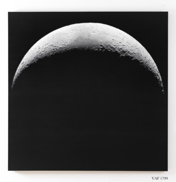La Rocca, Davide , moon - luna, 2007, olio su tela, VAF 1799, Roverto, Mart