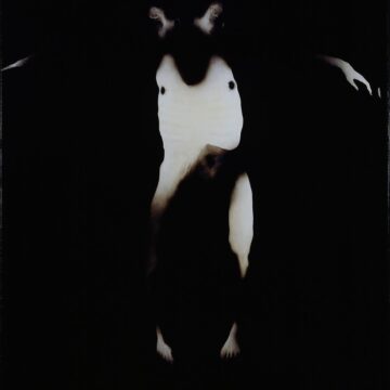 Manfredini, Giovanni , tentativo di esistenza II, 2004, Mischtechnik auf Holztafel, VAF 1195, Rovereto, Magazzino VAF