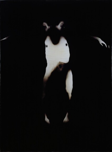 Manfredini, Giovanni , tentativo di esistenza II, 2004, Mischtechnik auf Holztafel, VAF 1195, Rovereto, Magazzino VAF