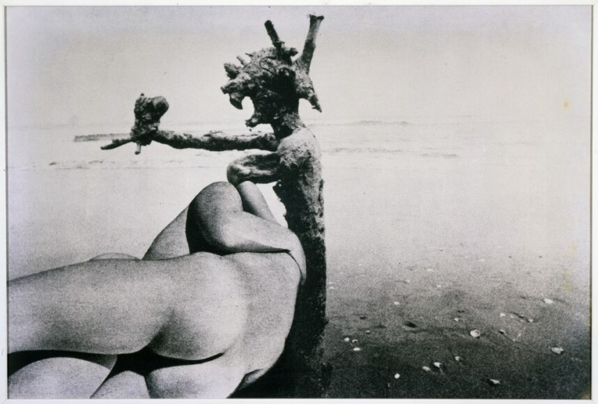 Mariani, Elio , l'ultima spiaggia, 1973, emulsione su tela - unico esemplare , VAF 1506, Rov. A 5 sopra