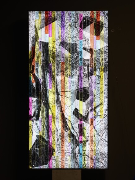 Mastrovito, Andrea , Qui non siamo da nessuna parte, 2016, lightbox - matita litografica su righelli, VAF 2199, Roverto, Mart