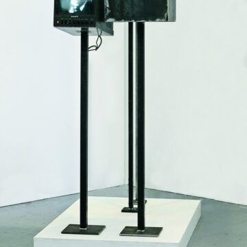 Mazzonelli, Jacobo , double silence, 2012, video installazione: telecamera, pesci, plexiglas, pedana in legno DVD, monitor, video proiettore, , VAF 2137, Roverto, Mart