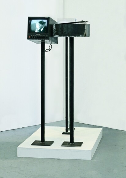 Mazzonelli, Jacobo , double silence, 2012, video installazione: telecamera, pesci, plexiglas, pedana in legno DVD, monitor, video proiettore, , VAF 2137, Roverto, Mart