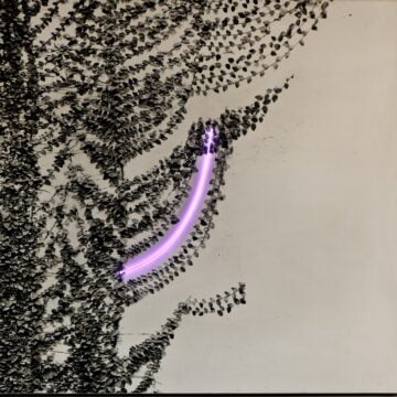 Olivotto, Germano , Indicazione 11/13, 1972, immagine fotografica su legnon neon , VAF 2061, Roverto, Mart