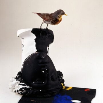 Parmiggiani, Claudio , senza titolo, 1976, Mischtechnik, Vogel, Gips, Tempera , VAF 1116, Roverto, Mart