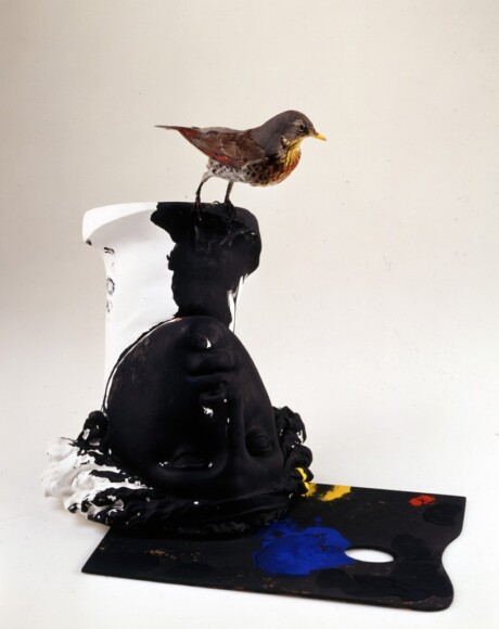 Parmiggiani, Claudio , senza titolo, 1976, Mischtechnik, Vogel, Gips, Tempera , VAF 1116, Roverto, Mart