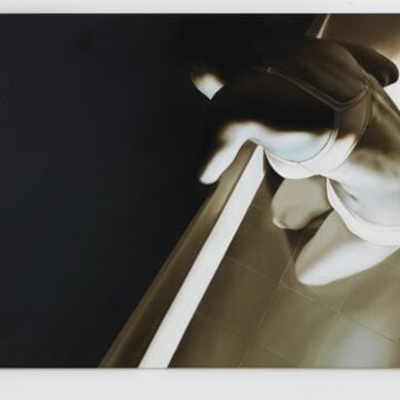 Rossi, Elisa , dove 20, 2006, olio su tela, VAF 1383, Rovereto, Magazzino VAF