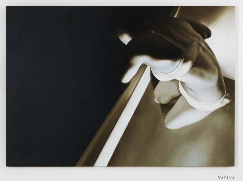 Rossi, Elisa , dove 20, 2006, olio su tela, VAF 1383, Rovereto, Magazzino VAF